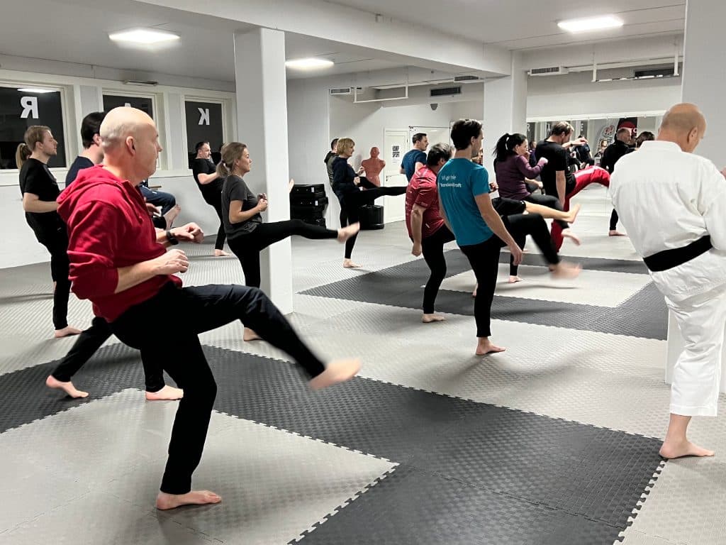 Gruppe i kampsporttrening på matta
