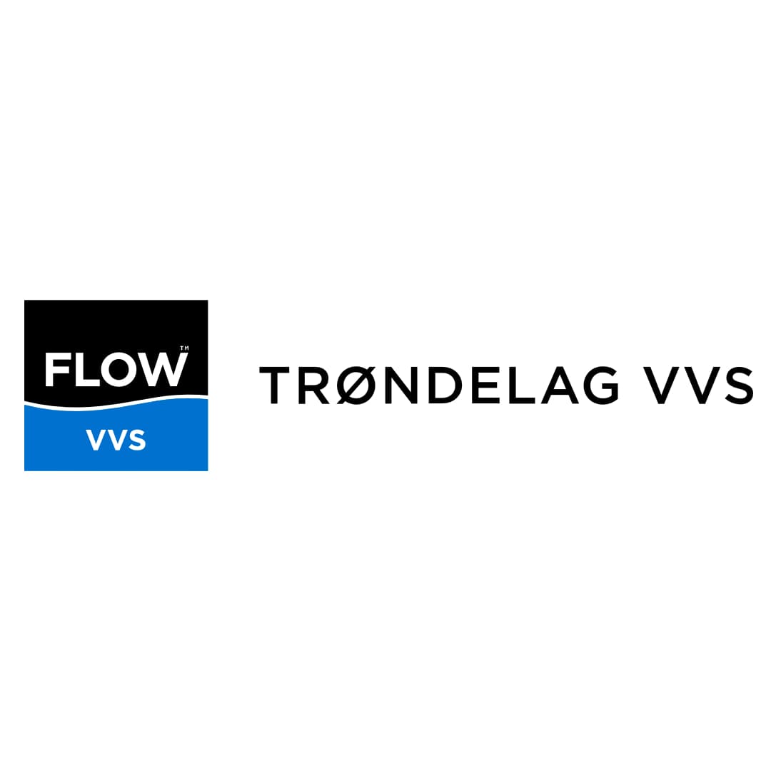 Logo Flow VVS