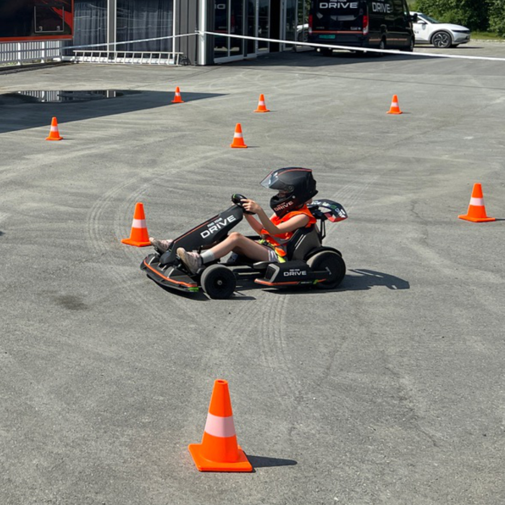 1 1 el gocart